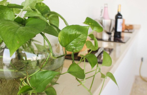 La Boquilla Condo | Beachfront Family Apartment Legal Rental RNT 24166