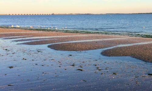 Rockanje Ski Chalet | Beachhouse Rockanje