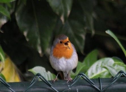 Scharendijke House | Beachloft Zeeland 1