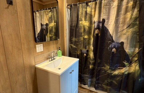 Tok Cabin | Bear Cabin 5 in Tok Alaska