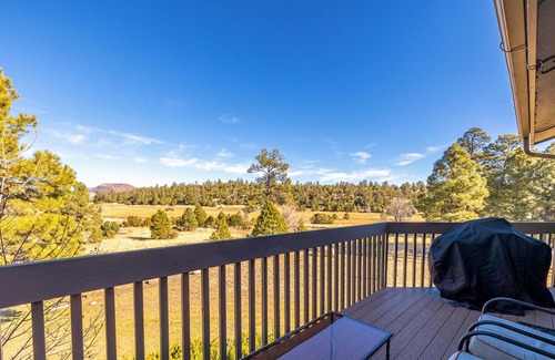 Flagstaff Condo | Bear Paw