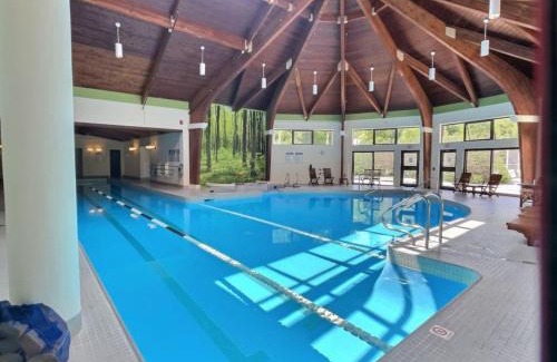 Killington House | Bearmont- Pool, HotTub, FirePit, AC, Gym, Sauna
