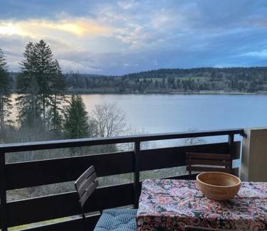 Malbuisson Apartment | Beau Duplex, au bord du lac Saint-Point