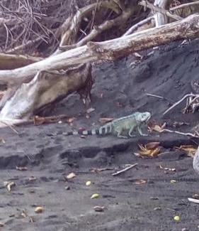 Trois-Rivieres Apartment | Beau duplex