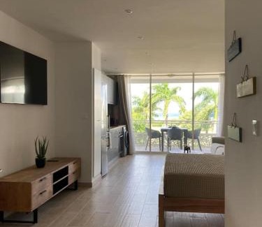 Anse Marcel Apartment | Beau studio vue mer Anse Marcel