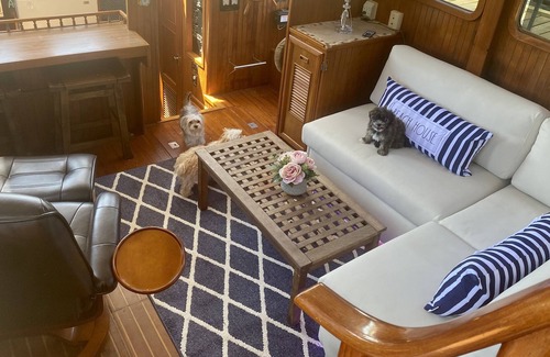 Morehead City Boat Rental | Beaufort Waterfront Yacht