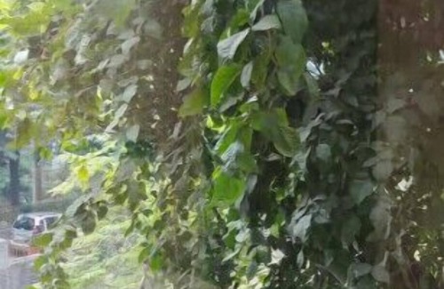 Lajpat Nagar Apartment | Beauteous 2 BHK Apartment with Lift!