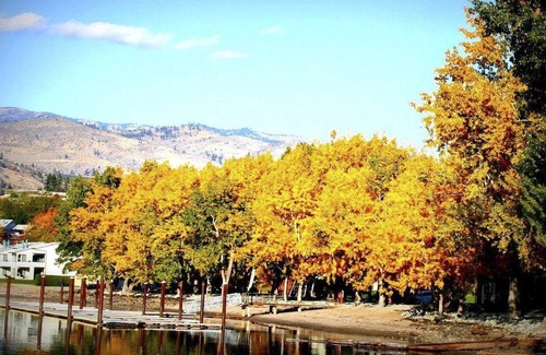 Manson Apartment | Beautiful 1 bedroom unit at resort, sleeps 5