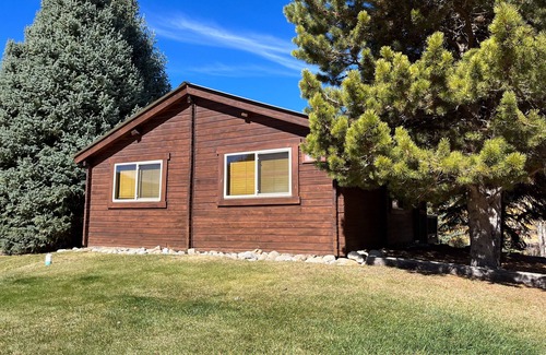 Almont Cabin | Beautiful 2 Bedroom Cabin on Taylor River with Private Hot Tub
