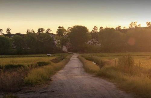 Troia Villa | Beautiful 3 bedroom Villa in Torre Comporta I