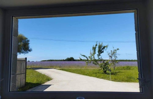 Carantec House | Beautiful calm and renovated farmhouse for 12