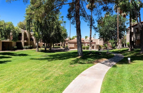 Central Scottsdale Condo | BEAutiful Condo centrally located in the heart of Scottsdale with KING bed!