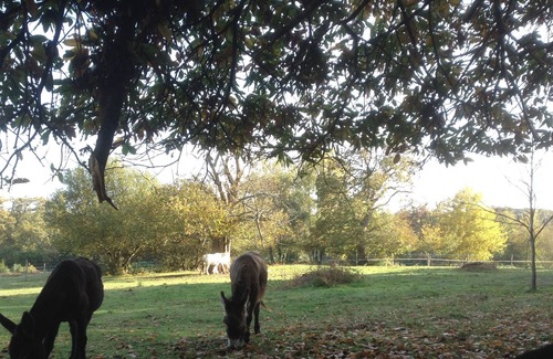 Saint-Quentin-les-Beaurepaire House | Beautiful converted barn with 4 bedrooms, 4 shower rooms off the beaten track