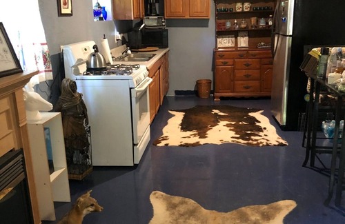 Crescent City Cottage | Beautiful cottage on 28 acres of prime land, in Fruitland, Florida!