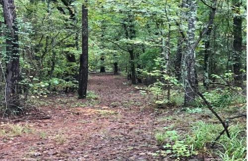 Hawkins House | Beautiful Country Home in the Woods