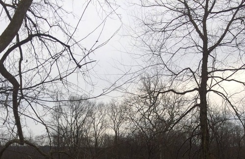 Mill Hall Cottage | Beautiful Creek Side Home Along Bald Eagle Creek, Mill Hall, PA