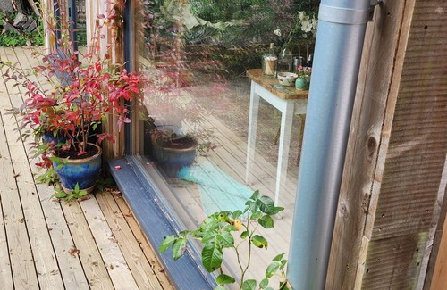 Holne Cabin | Beautiful Dartmoor cabin reasonable rent
