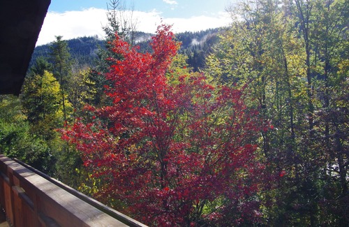 Hof bei Salzburg House | beautiful, family-friendly vacation home close to Salzburg