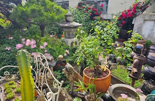 Jeonju House | Beautiful Garden Fine Day House