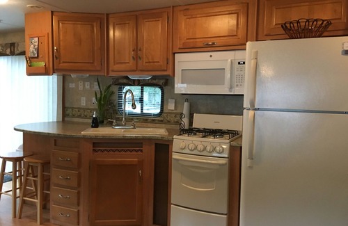 Salt Springs House | Beautiful Get-away - Ocala National Forest @ Salt Springs Resort- Loaner kayaks!