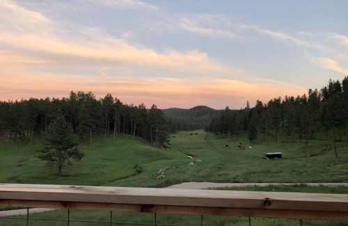 Custer House | Beautiful home, amazing views, 40 acres, French Creek meandering through valley