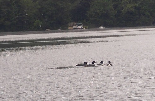 Alton Bay House | Beautiful home on Sunset Lake, Alton. Minutes to Winnipesaukee. Private beach!