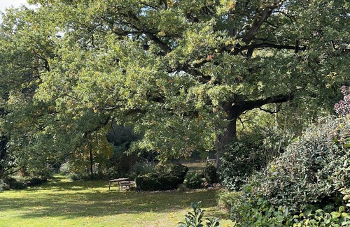 Sainte-Anne-sur-Vilaine House | Beautiful Manoir full of charm