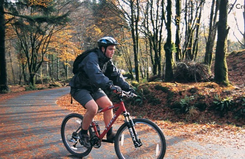 Derwenlas Villa | Beautiful private villa for 10 people with WIFI, hot tub, TV, patio, panoramic view and parking