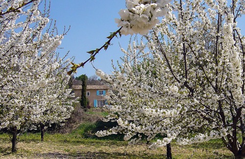 Apt House | Beautiful summerhouse.