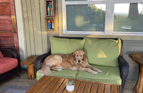 Canyon Lake Cottage | Beautiful view of the Texas Hill Country!