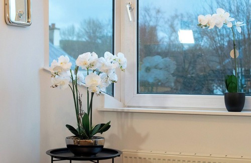 Hawick House | Beautifully Refurbished Large 3 Bed Terrace