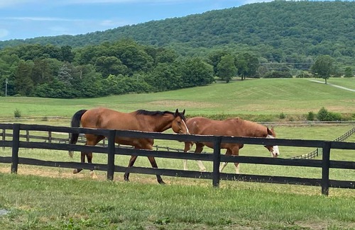 Gordonsville House | Beautifully renovated 1780 historic estate and horse farm
