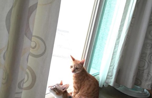 Hualien City Centre House | Beauty Home Homestay