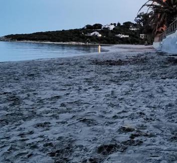 Sant'Antioco Apartment | Beb Lidia