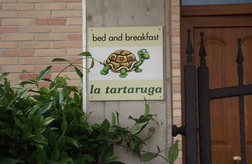 Civitanova Marche House | Bed and breakfast "The Turtle"