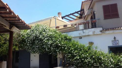 Ercolano Bed & Breakfast | Bed & Breakfast Fuocomuorto