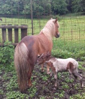 Chiaverano Bed & Breakfast | Bed & Breakfast Varionda