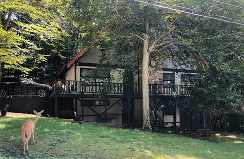 Charter Hills House | Beech Gem PRIVATE GUEST SUITE nestled on Beech