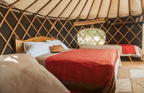 Haslemere Other | Beech Yurt