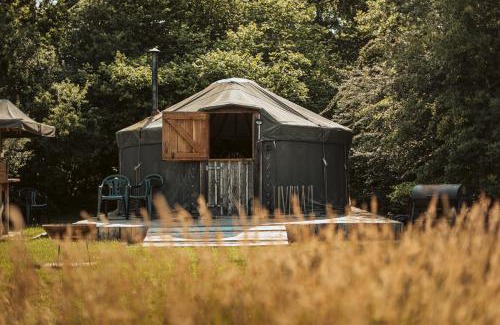 Haslemere Other | Beech Yurt