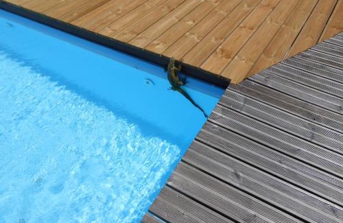 Trois-Rivieres House | BEL Z 'IGUANE