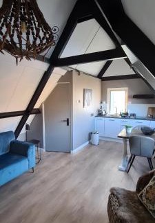 Burgh-Haamstede Apartment | Bela Vista