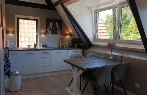 Burgh-Haamstede Apartment | Bela Vista