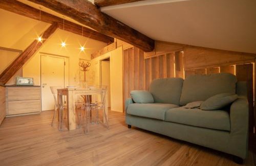 Aosta Apartment | BelAbrì - central charme&comfort -mansarde e appartamento
