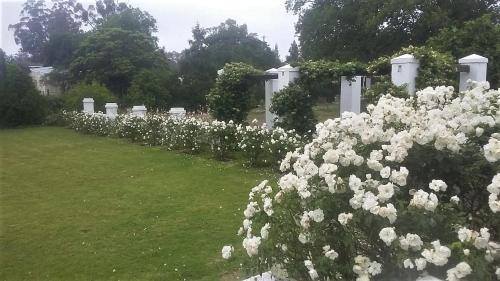 Somerset East House | Bell Guesthouse