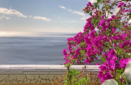 Tabaiba Apartment | Bella Vista apartment