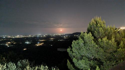 Fasano Apartment | Bellavista