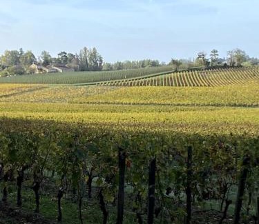 Lussac Villa | Belle maison de charme