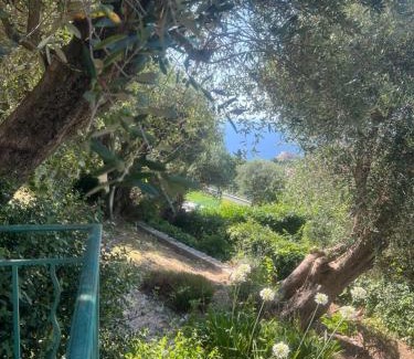 La Turbie Villa | Belle villa avec piscine proche monaco