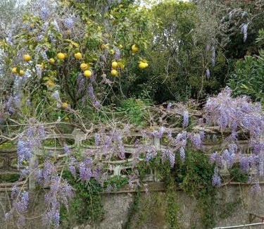 Caiazzo Bed & Breakfast | Belvedere di Caiazzo